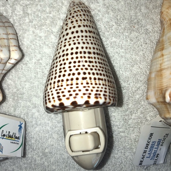 NEW! Spotted Cone Seashell NIGHT LIGHT - Picture 1 of 4